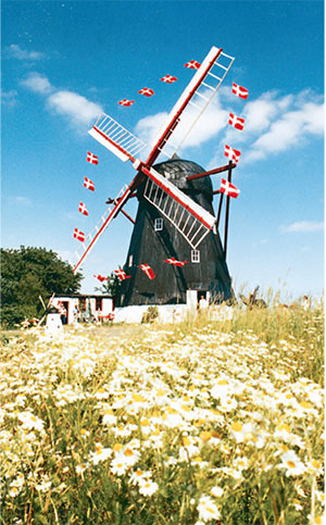 dansk_molledag_3 dansk_molledag_3